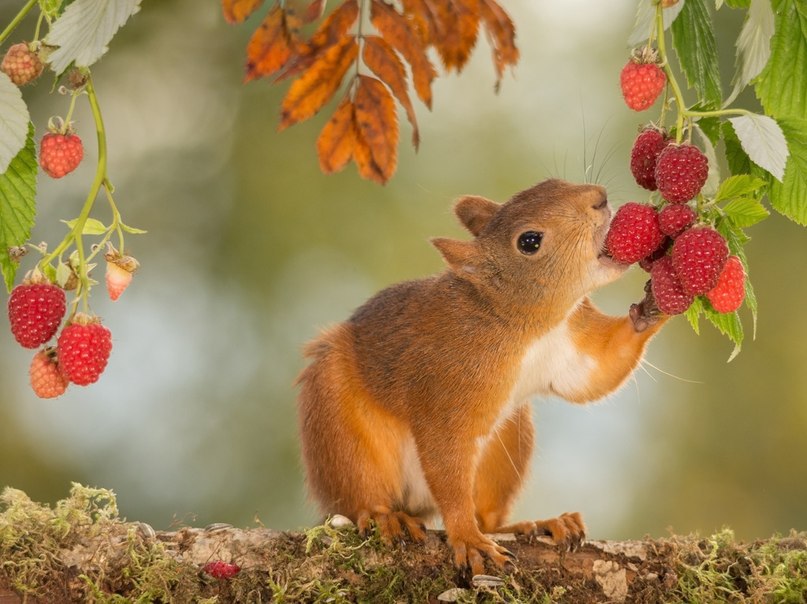 ����� ������� - 7 ������� 2015 � 15:07