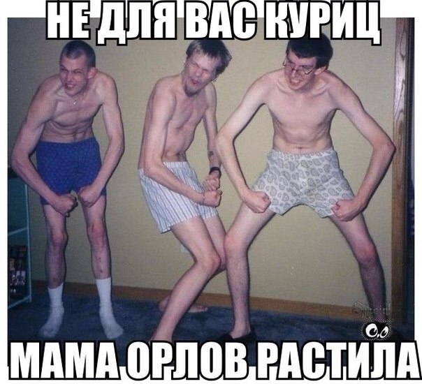   | , ,  - 12  2015  17:03