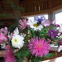 ���� ���������, ������ - ��������� 5 ������ 2015 � ������ ���������� ������