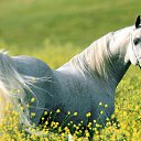 ���� ����������, �������� - ��������� 21 ������ 2016 � ������ ���� ����������