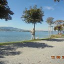 ���� Tomusya, ������ �����, 70 ��� - ��������� 25 �������� 2015 � ������ ���� ������� ����������