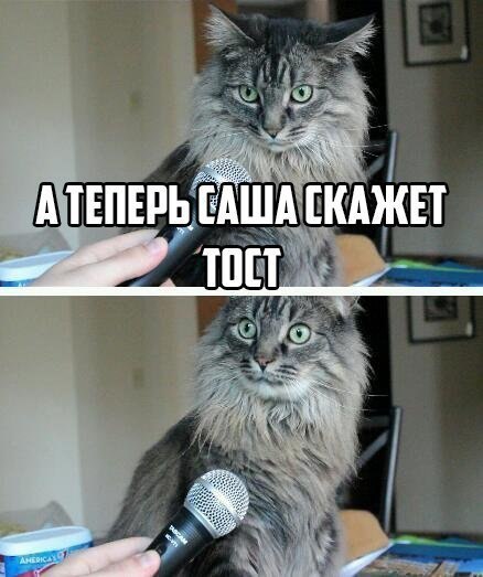 ����� ������ ������� ����