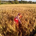  ,  , 58  -  15  2015    