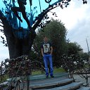 ���� ������, ������, 40 ��� - ��������� 24 ������� 2015