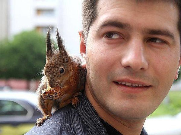 Лучший друг минского таксиста)). Минский таксист постоянно удивляет пассажиров своим карманным ...