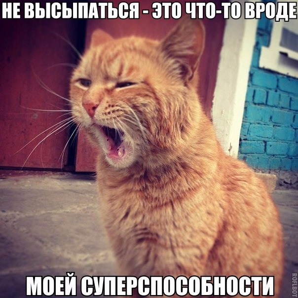  -   - 11  2015  08:35