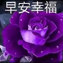 ���� �����, ��� - ��������� 20 ������ 2016 � ������ ������ ��������