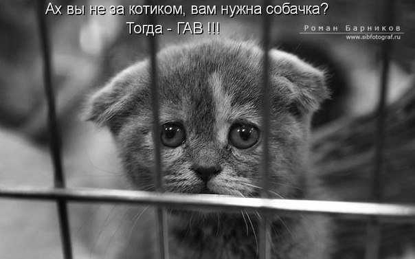       - 20  2016  12:33