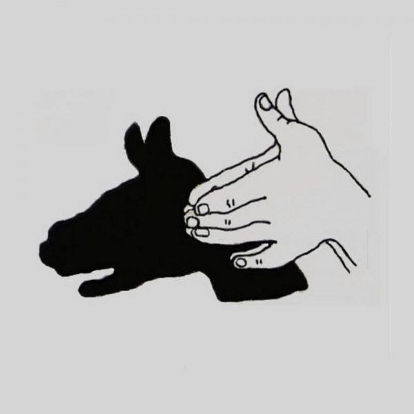   - 8