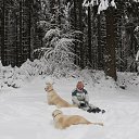 ���� ������, ���� - ��������� 6 ������� 2016 � ������ ���� ����������