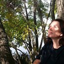 ���� ����, ������ - ��������� 10 ������� 2015