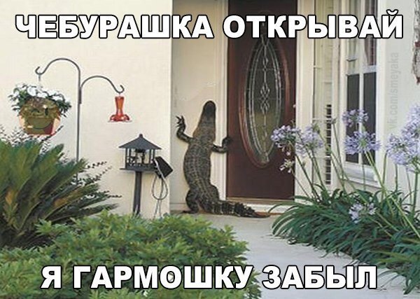     - 7  2016  03:03