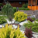 ���� �����, ������������, 55 ��� - ��������� 24 ������� 2015 � ������ �������� ������