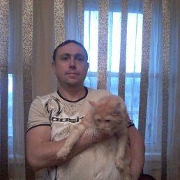 ���� ������, ������, 49 ��� - ��������� 28 �������� 2015