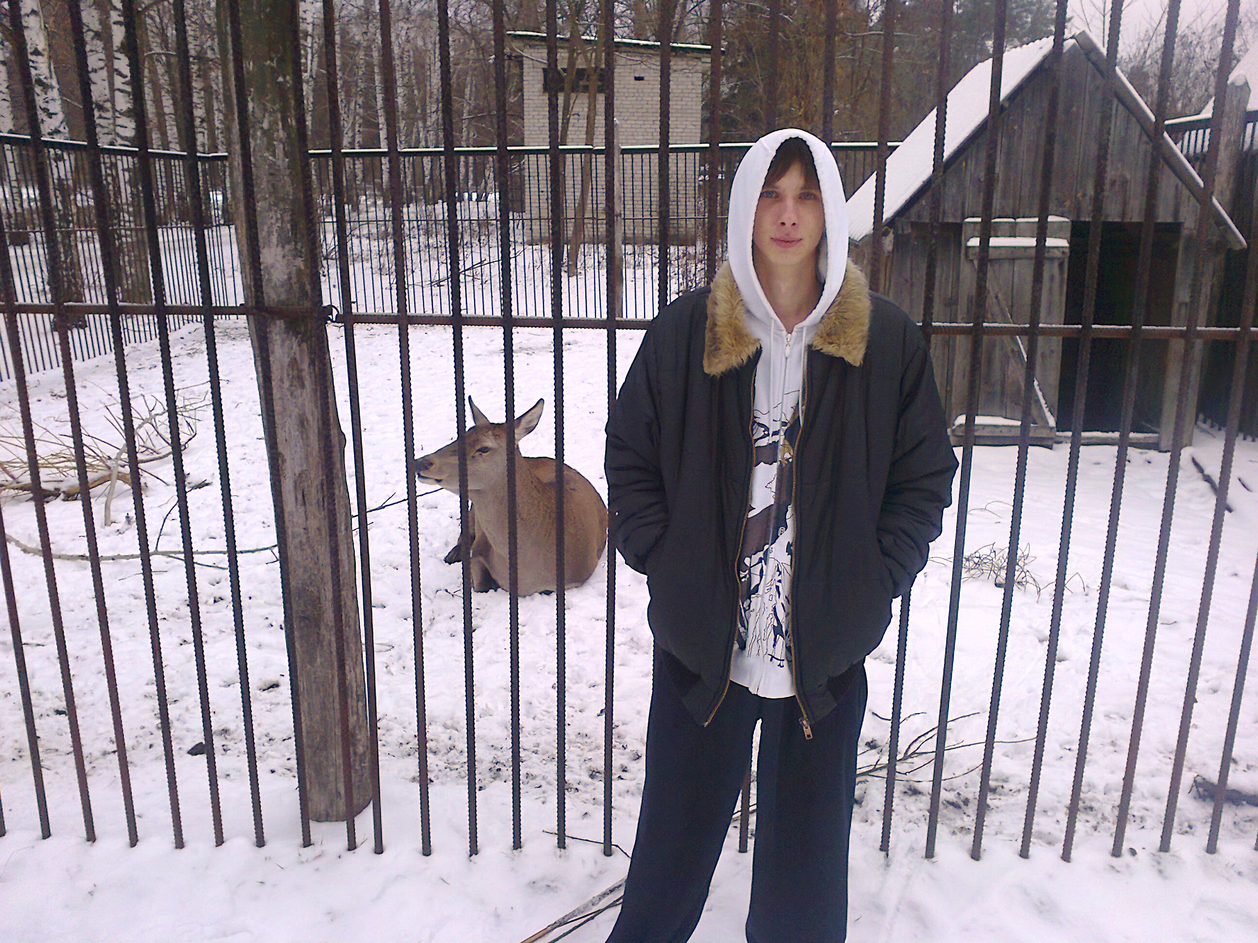   - 17  2016  12:34 - 4