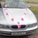 ���� ���������, ���������, 44 ���� - ��������� 15 ������� 2015 � ������ ���� ����������