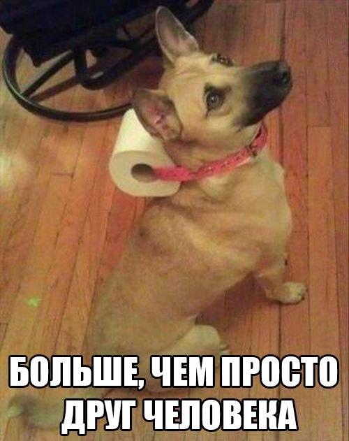 MDK - 8 ������� 2015 � 05:56