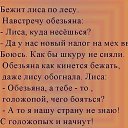 ���� Elena, ������ - ��������� 28 ������ 2016 � ������ ������ ��������