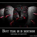  ******, , 55  -  12  2015    