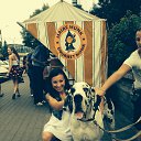  , -, 40  -  18  2016