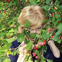  Clio, , 59  -  28  2015   