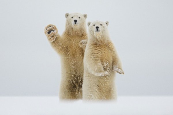   National Geographic - 6