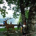 ���� ����, ����, 71 ��� - ��������� 22 ������� 2015 � ������ ���� ����������