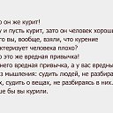 ���� Bagira, ����������� - ��������� 19 ������ 2015 � ������ ���� ����������