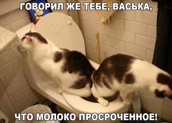 -  - 9  2016  11:41