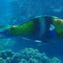  , , 59  -  16  2015    Ż