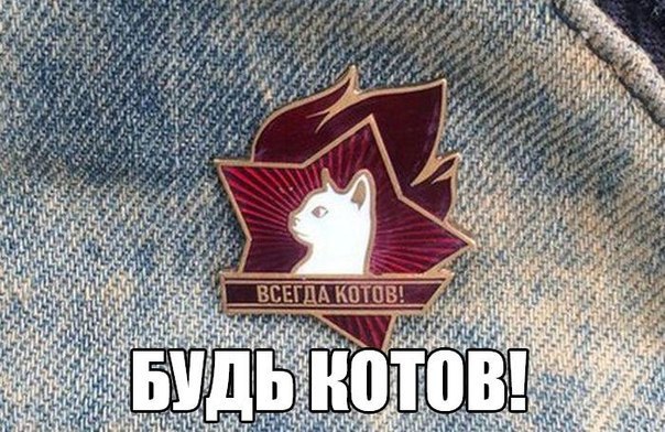 ��� ���� � ����� �� �� - 21 ������� 2015 � 04:30