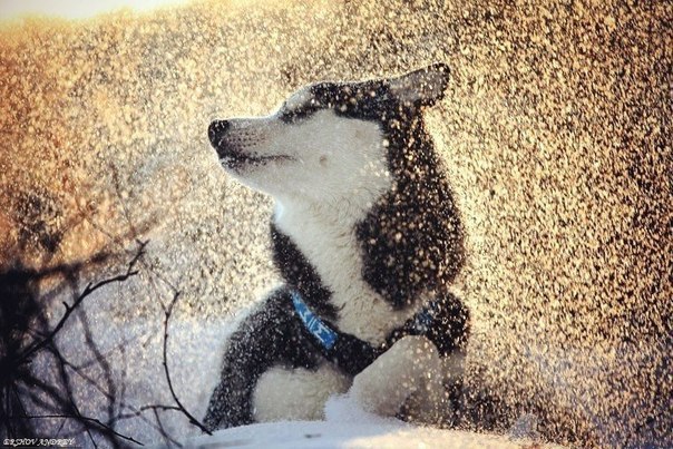 Art & Fun - 3  2015  19:15 - 2