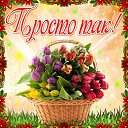 ���� ����, �����-���������, 52 ���� - ��������� 6 ������� 2015 � ������ �������� ��������