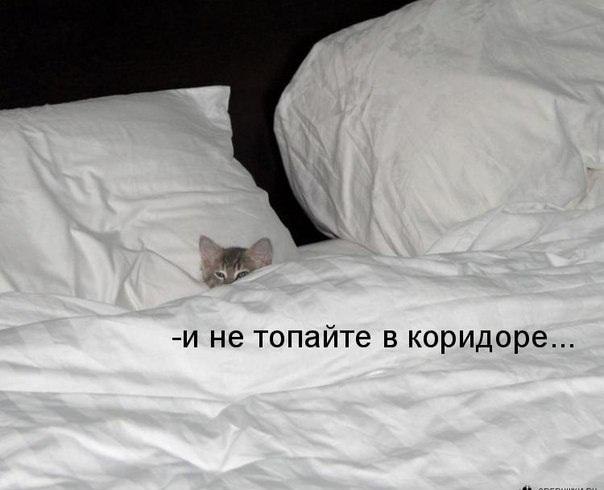    - 1  2016  20:15