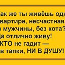  , , 66  -  27  2015    