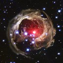 ���� �����, ������� - ��������� 29 ������� 2015 � ������ ���� ����������