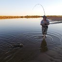 ���� ����, ���������, 79 ��� - ��������� 22 ������� 2015 � ������ ���� ����������