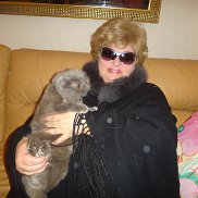 �������, 66 ���, ������