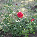 �� ����� ��������� �� ������� �� ��������� ������ � ��������, ������������� �������.�