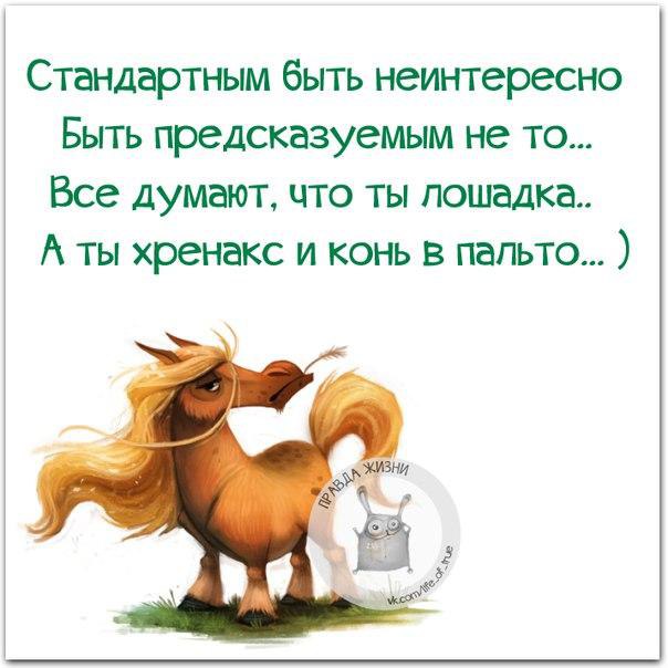   - 1  2016  12:12