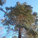 ���� Alexandr, ������, 75 ��� - ��������� 6 ������� 2015 � ������ ��������