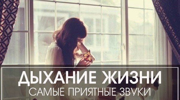 Тихие приятные звуки. Самые приятные звуки.