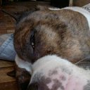 ���� ��� ���������, ������, 40 ��� - ��������� 13 ������ 2016 � ������ ���� ����������