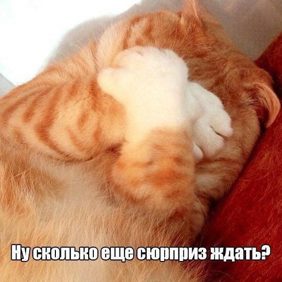 )