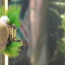 ���� ������, ������, 59 ��� - ��������� 21 ������� 2015 � ������ ���� ����������