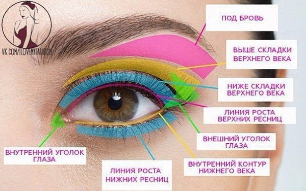 Самый лучший гид по макияжу.Не забудь сохранить себе Под бровь:На выделенный цветом участок ты ...