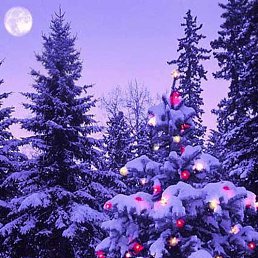 ���� ������, �����������, 43 ���� - ��������� 20 ������ 2016