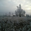 ���� ����, ������, 61 ��� - ��������� 8 ������ 2015 � ������ ������� ������� �����