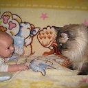 ���� ����, �����, 31 ��� - ��������� 10 ������� 2015 � ������ ������ ��������