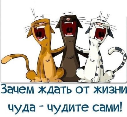 ������ - 26 �������� 2015 � 06:57